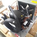 DJ-001_3